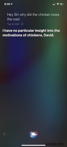 これがSiriに尋ねる面白いことの束です 