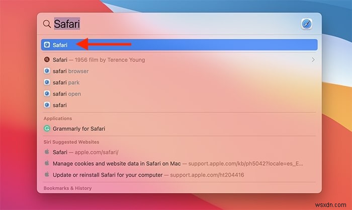 MacのSafariで保存されたパスワードを表示する方法 