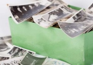 Googleフォトの無料容量終了に備えて！おすすめ代替サービス5選