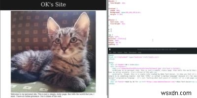 HTMLとCSSの初心者向けガイド 