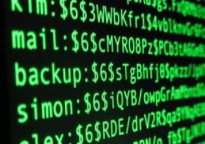 bcryptハッシュアルゴリズムを使用してWordPressのパスワードセキュリティを向上させる方法 