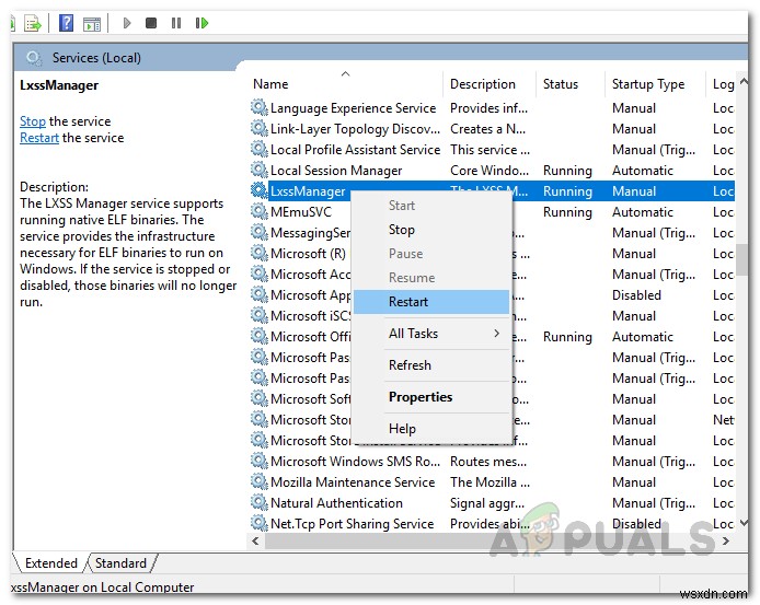 Windowsで「ローカルホストが接続を拒否しました」エラーを修正するにはどうすればよいですか？ 