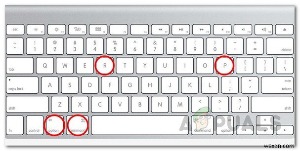 白い画面でスタックしたMacを修正する方法 