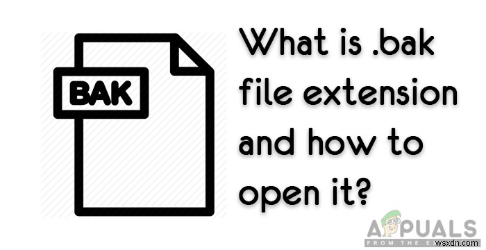 「.bak」ファイル拡張子とその開き方を教えてください。 