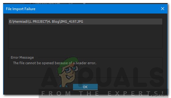 AdobePremiereで「ヘッダーエラーが原因でファイルを開くことができない」を修正する方法 