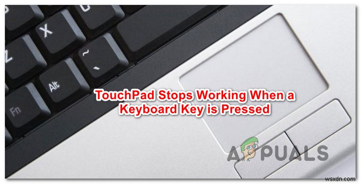 キーボードキーを押したままタッチパッドが機能しない問題を修正する方法 
