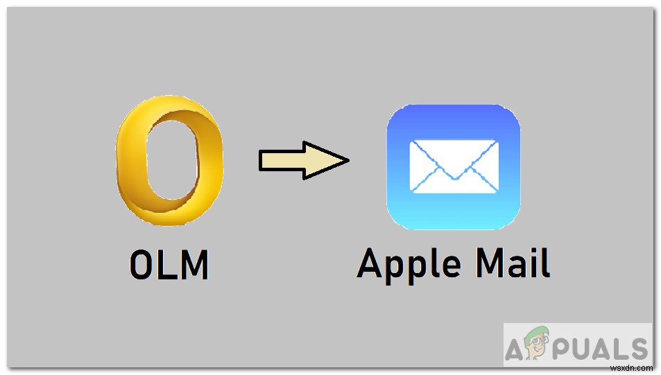 Apple MailにOLMファイルをインポートする方法は？ 