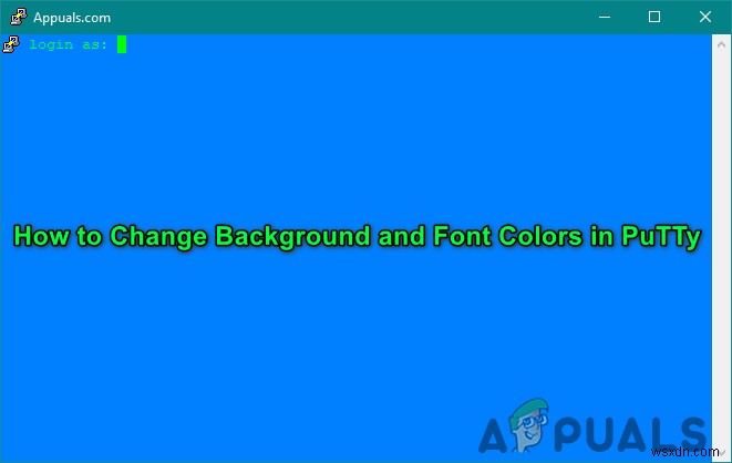 PuTTyのカスタマイズ：PuTTyの背景とフォントの色を変更する 