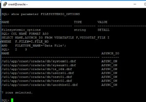 Oracle 11g I/Oキャリブレーションの概要 