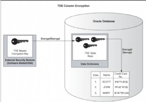 OracleEBSによる透過的なデータ暗号化 