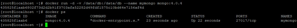 MongoDBをDockerコンテナとしてデプロイする 