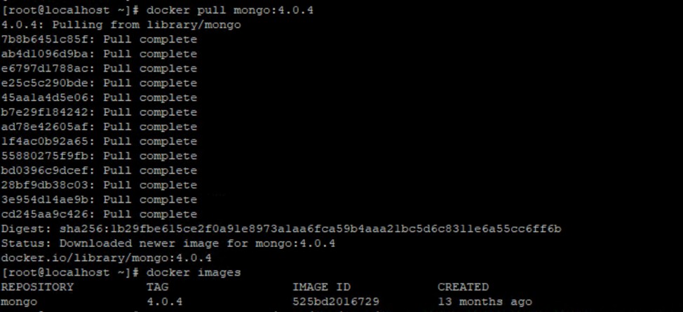 MongoDBをDockerコンテナとしてデプロイする 