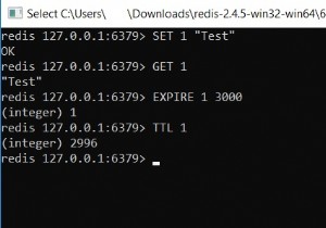 redisでキーの有効期限を取得する方法– Redis TTL | PTTL 