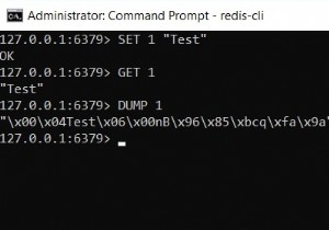 Redis DUMP –Redisでキーのシリアル化された値を取得する方法 