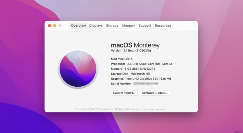 macOS Monterey の更新後に失われたファイルを復元する方法