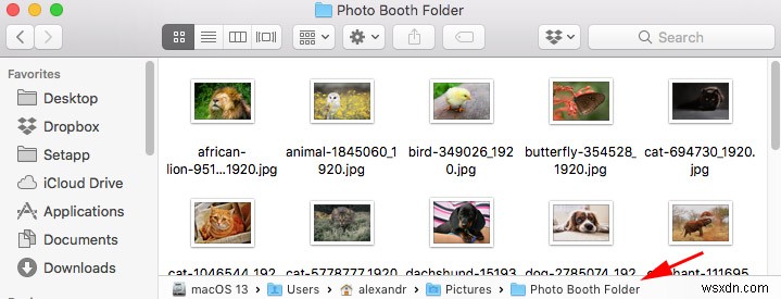 Mac で Photo Booth から写真を復元する 3 つの方法