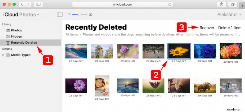 Mac で完全に削除された写真を復元する方法