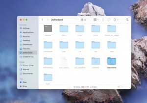 Mac で隠しファイルと隠しフォルダーを表示する方法 