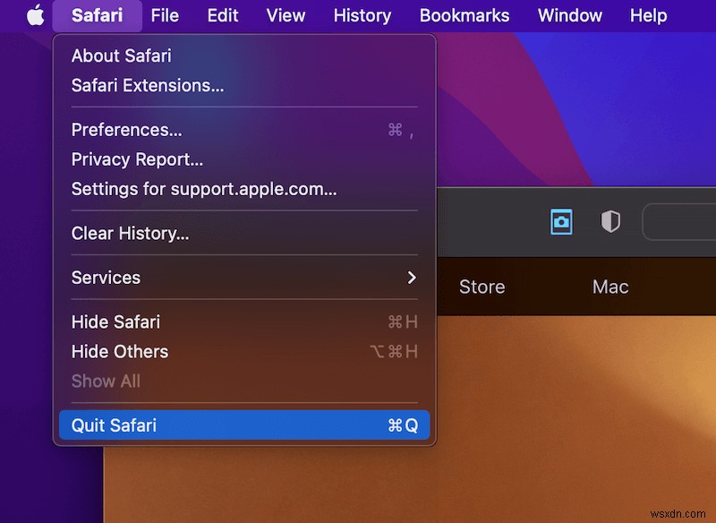 Mac で Safari がフリーズまたはクラッシュし続ける場合の対処法