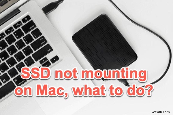 SSDがMacにマウントされない問題を修正するには? 