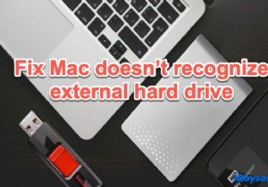 Mac が外付けハード ドライブを認識しない問題を修正 (macOS 12 の新機能)