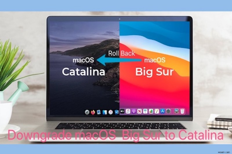 Mac OS をダウングレードする方法:Big Sur から Catalina または Monterey から Big Sur