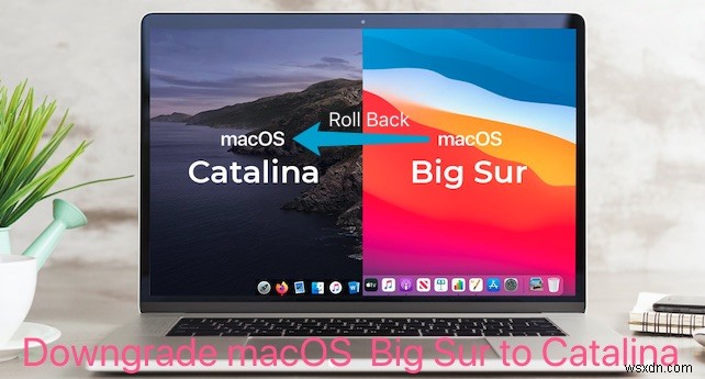 Mac OS をダウングレードする方法:Big Sur から Catalina または Monterey から Big Sur