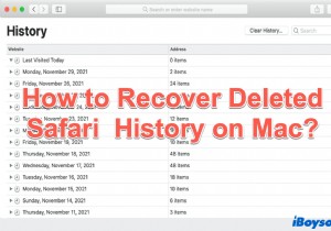 Mac で削除された Safari の閲覧履歴を復元する方法