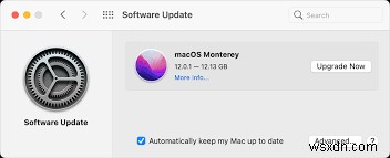 [修正済み] macOS Monterey でクリップボードを使用した操作が許可されていないというエラー 