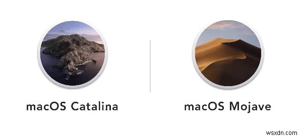 Mojave 対 Catalina:Mojave から Catalina にアップグレードする必要がありますか?