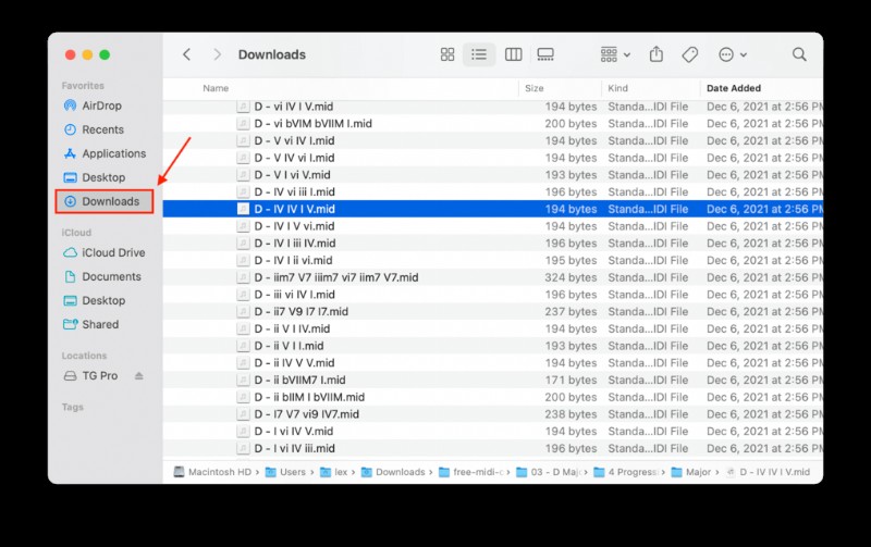 Macで削除されたダウンロードフォルダーを復元する方法：知っておくべきこと 