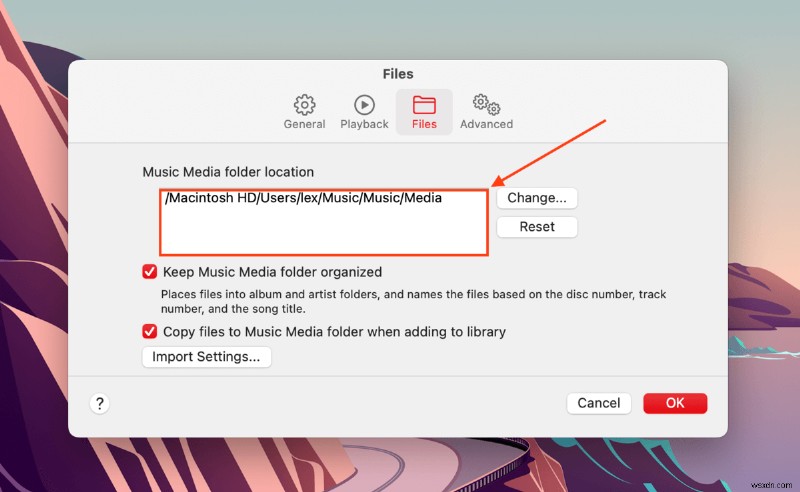 Mac で iTunes から削除した曲を復元する方法:5 つの方法 + おまけ