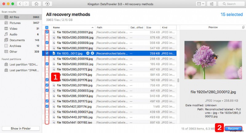 Mac でフラッシュ ドライブからデータを復元する方法:完全ガイド 