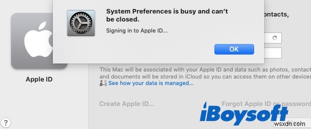 Mac でシステム環境設定が応答しませんか?設定エラーを修正する