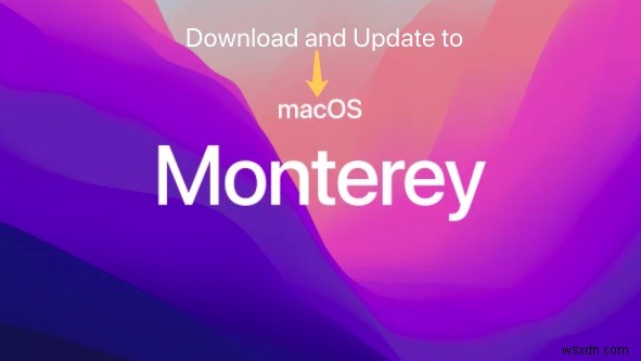 macOS Monterey をダウンロードしてアップデートする方法