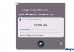 Mac でカーソルが消えた場合の原因と対処方法 (2022)
