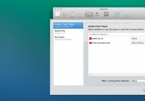 一部の Web サイトを除くすべての Web サイトで Flash をブロックする方法