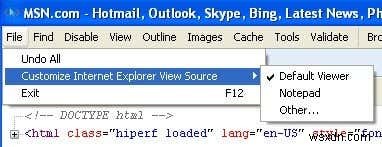 IE 8 から 11 のソース コード エディターの表示を変更する 