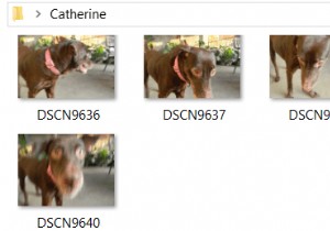 Windows 10 を使用して写真のサイズを一括変更する方法 