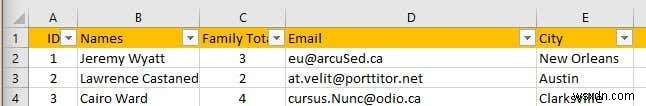 Excel でデータをフィルター処理する方法 