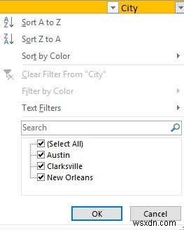 Excel でデータをフィルター処理する方法 