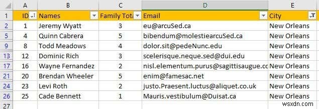 Excel でデータをフィルター処理する方法 