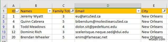 Excel でデータをフィルター処理する方法 