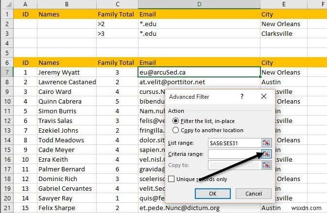 Excel でデータをフィルター処理する方法 