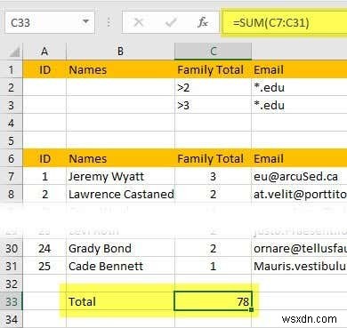 Excel でデータをフィルター処理する方法 