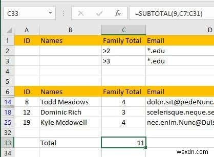 Excel でデータをフィルター処理する方法 