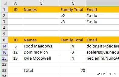 Excel でデータをフィルター処理する方法 