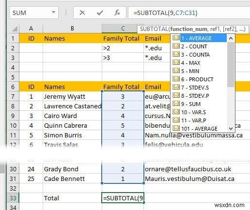 Excel でデータをフィルター処理する方法 
