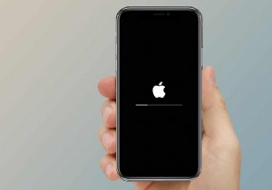 iPhone のフリーズまたはロックを修正する方法