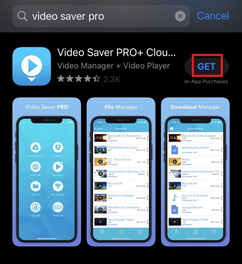 iPhone で OnlyFans ビデオをダウンロードする方法